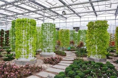 hydroponic tower gardens